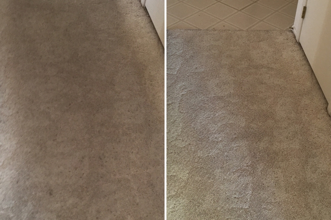 20 per room Carpet Cleaning with pretreatment Max's Carpet and