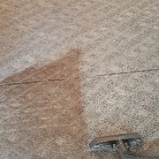 Chesapeake, Virginia Carpet Cleaning
