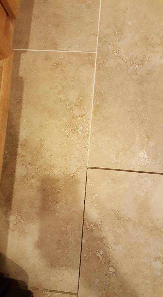 Reliable Carpet Care San ysidro, CA