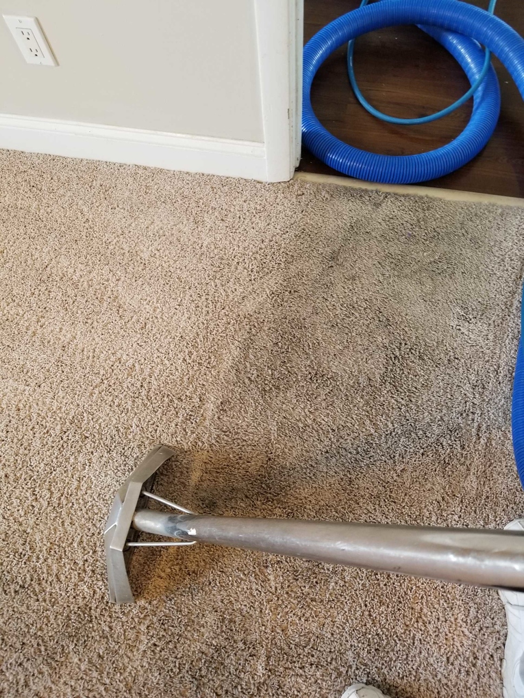 Steam Pros Carpet Cleaning Port St. Lucie, FL