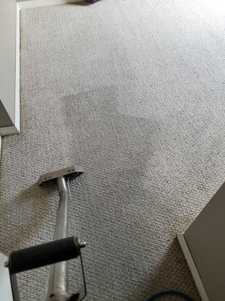 Precise Carpet and Tile Cleaning Kissimmee, FL