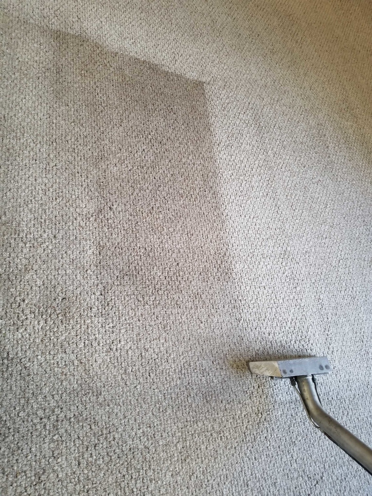 Precise Carpet and Tile Cleaning Kissimmee, FL