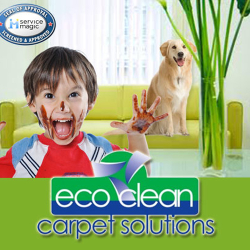 Eco Clean Carpet Solutions Knoxville, TN