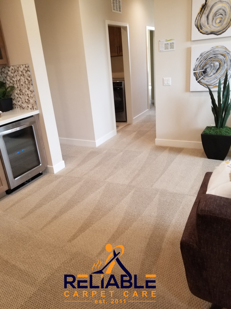 Reliable Carpet Care San ysidro, CA