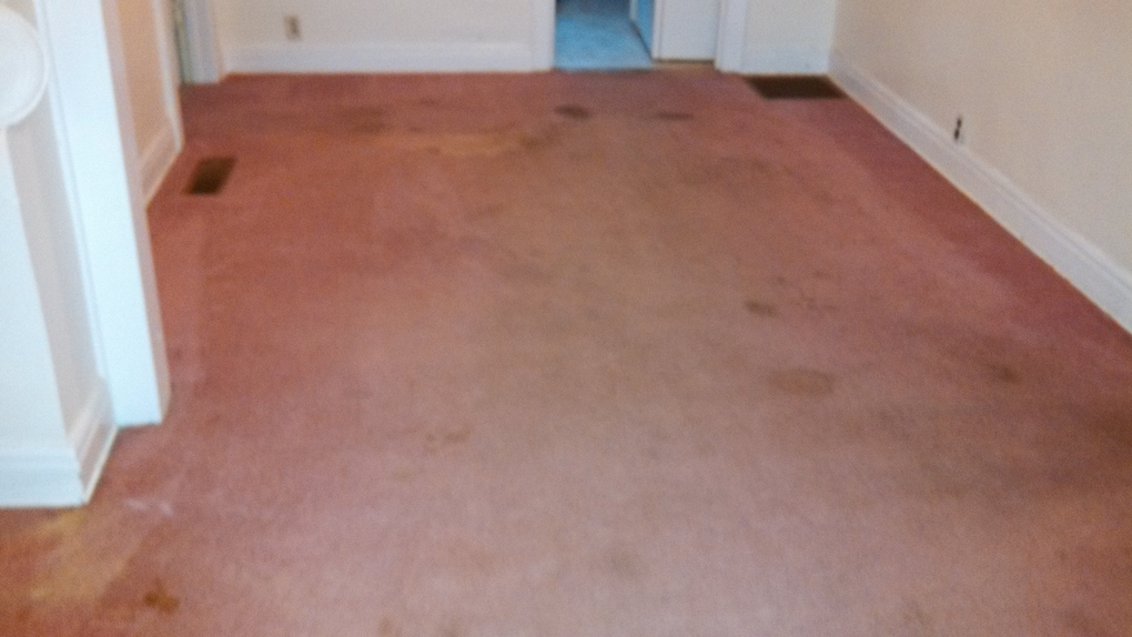 Fresh N Dry Carpet Cleaning Greensboro, NC