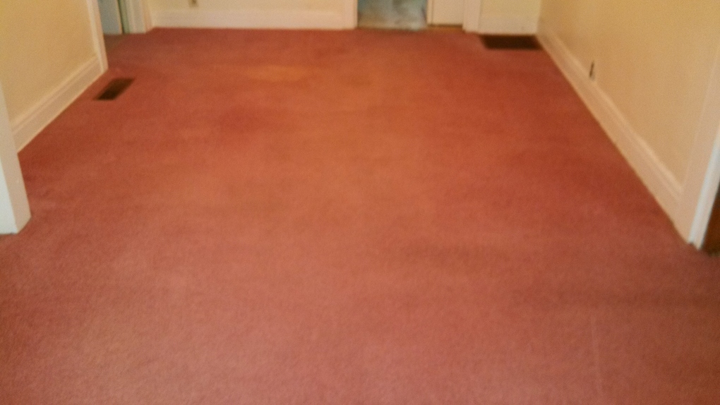 Fresh N Dry Carpet Cleaning Greensboro, NC