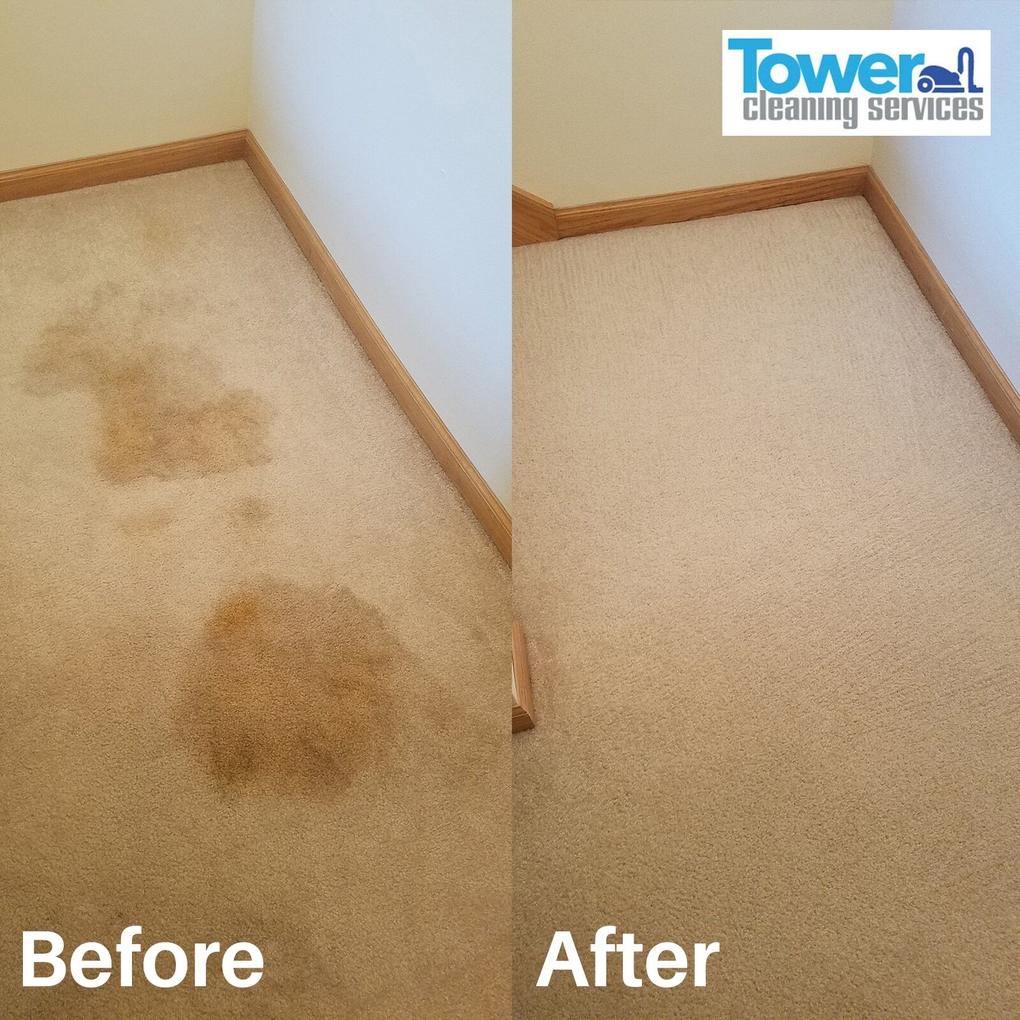 Fresh N Dry Carpet Cleaning Greensboro, NC