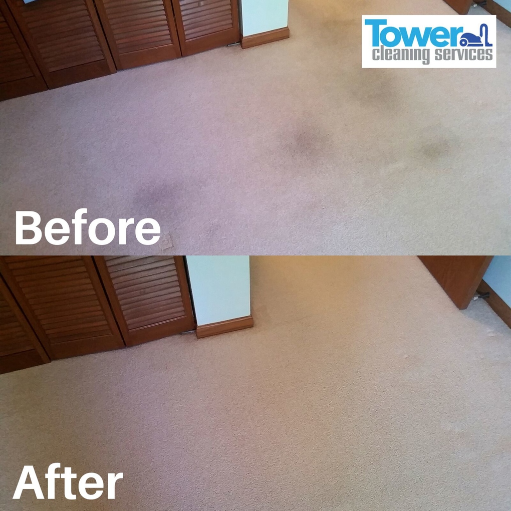 Fresh N Dry Carpet Cleaning Greensboro, NC