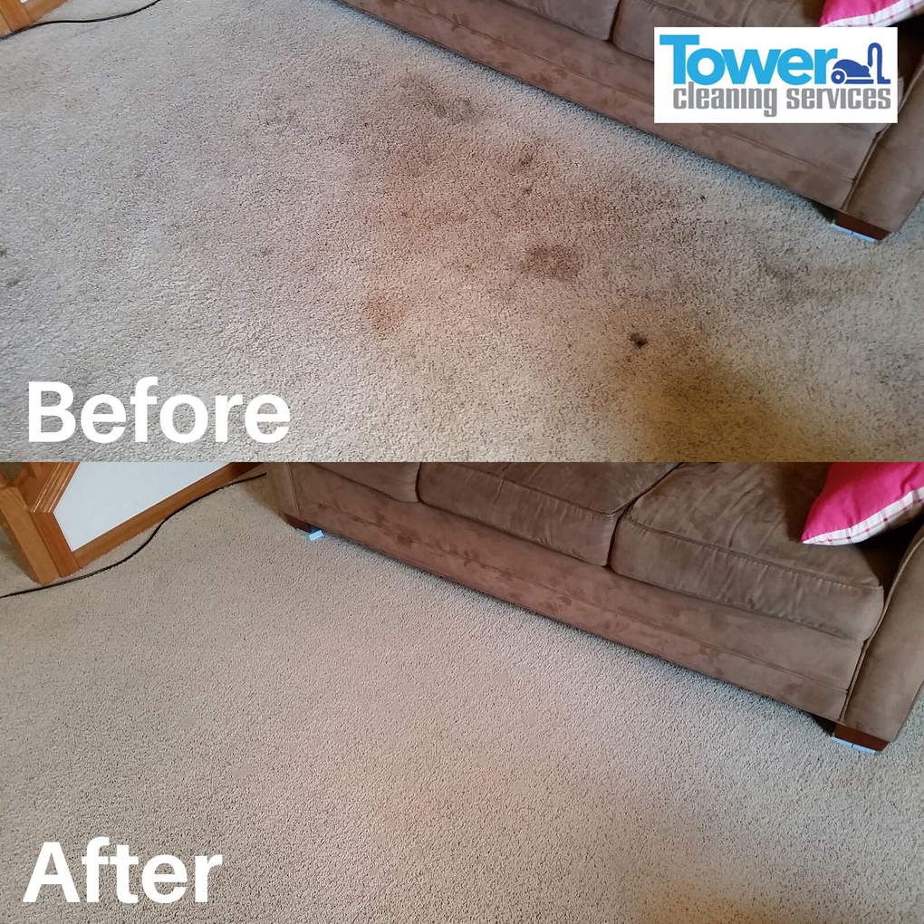 Fresh N Dry Carpet Cleaning Greensboro, NC