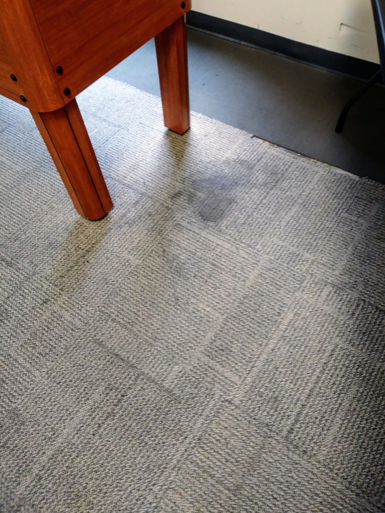 Fresh N Dry Carpet Cleaning Greensboro, NC