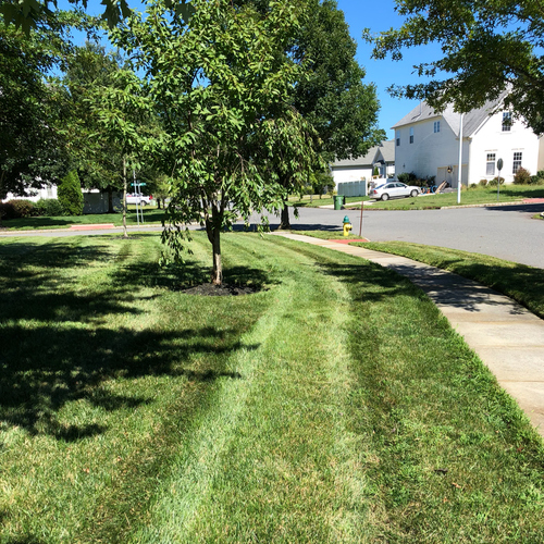 TopNotch Lawn Care