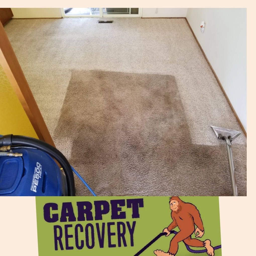 Carpet Recovery NW BREMERTON, WA