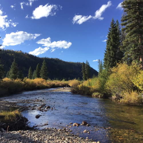 James Michael Designs, LLC