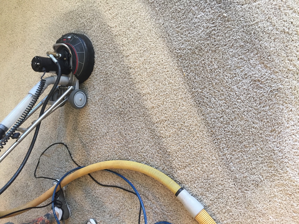 All Season Carpet Cleaning Auburn, WA