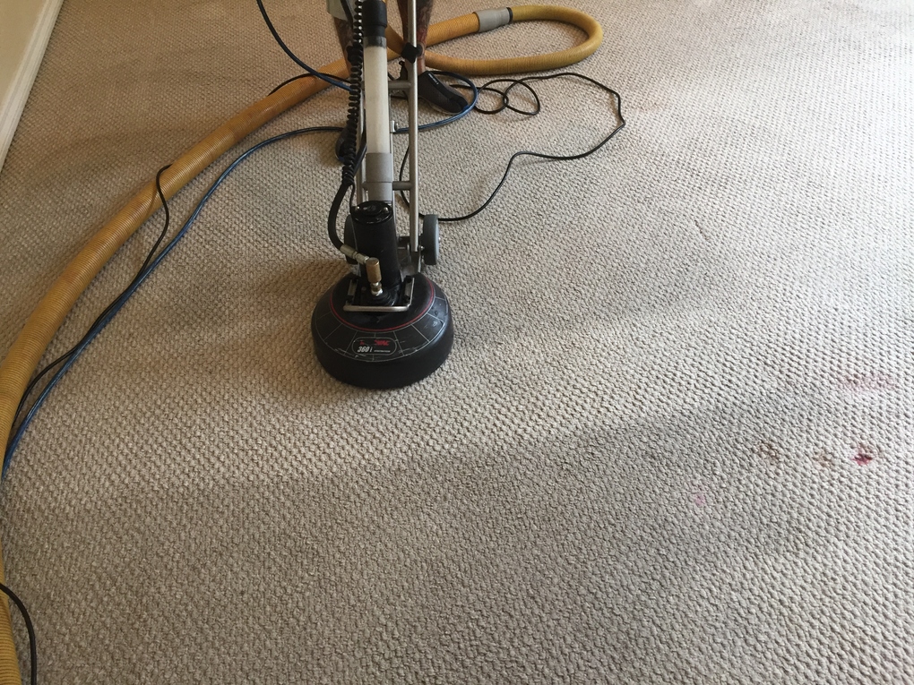 All Season Carpet Cleaning Auburn, WA