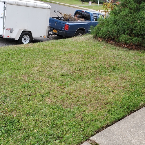 J&J Landscaping and Irrigation