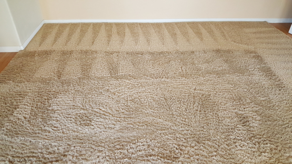 Steam N Fresh Carpet Cleaning Marietta, GA