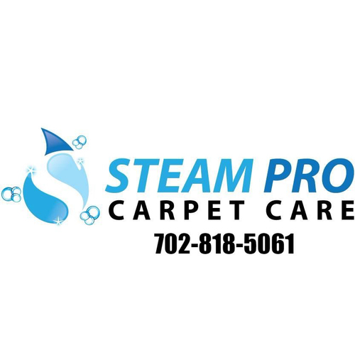 Steam Pro Carpet Care
