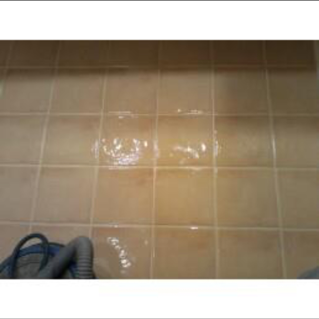 B&K Carpet Cleaning LLC Ocean, NJ