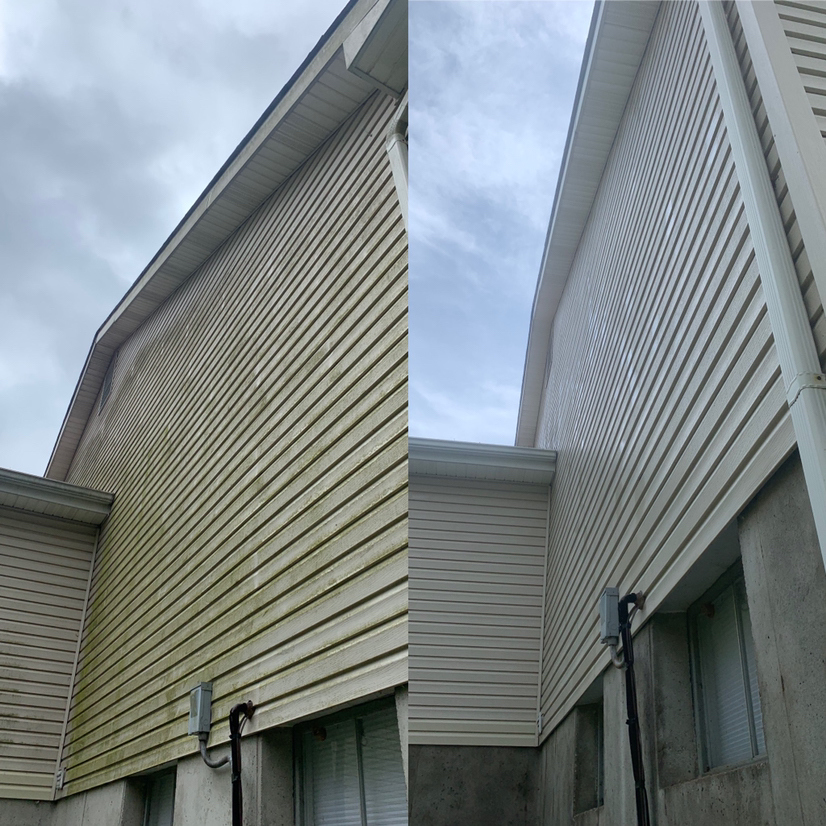 Water Dog Pressure Washing Ellisville, MO