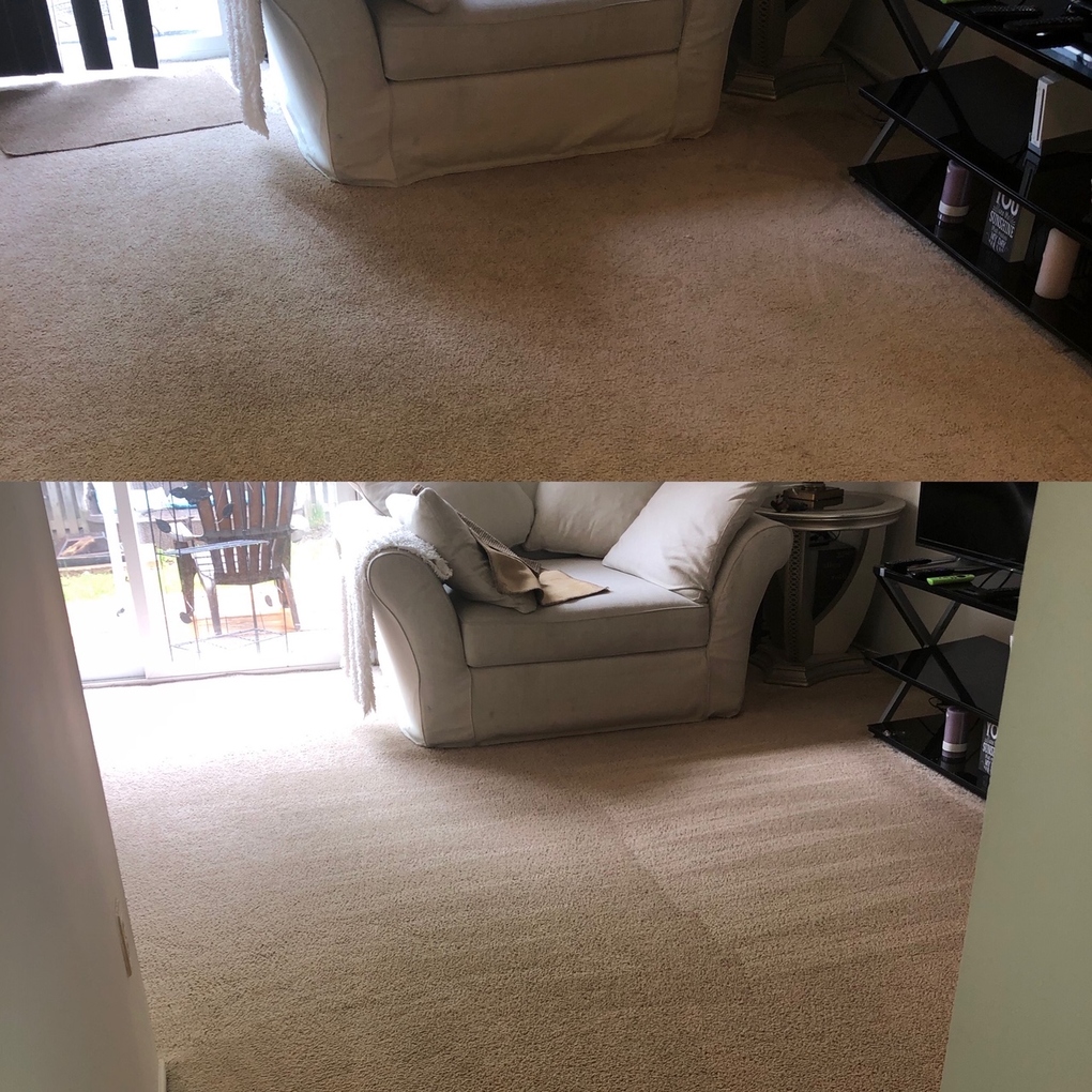 Littleton’s Floor & Carpet Cleaning Waldorf, MD