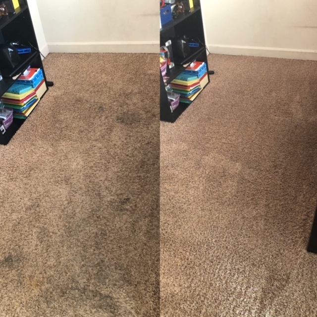 Littleton’s Floor & Carpet Cleaning Waldorf, MD
