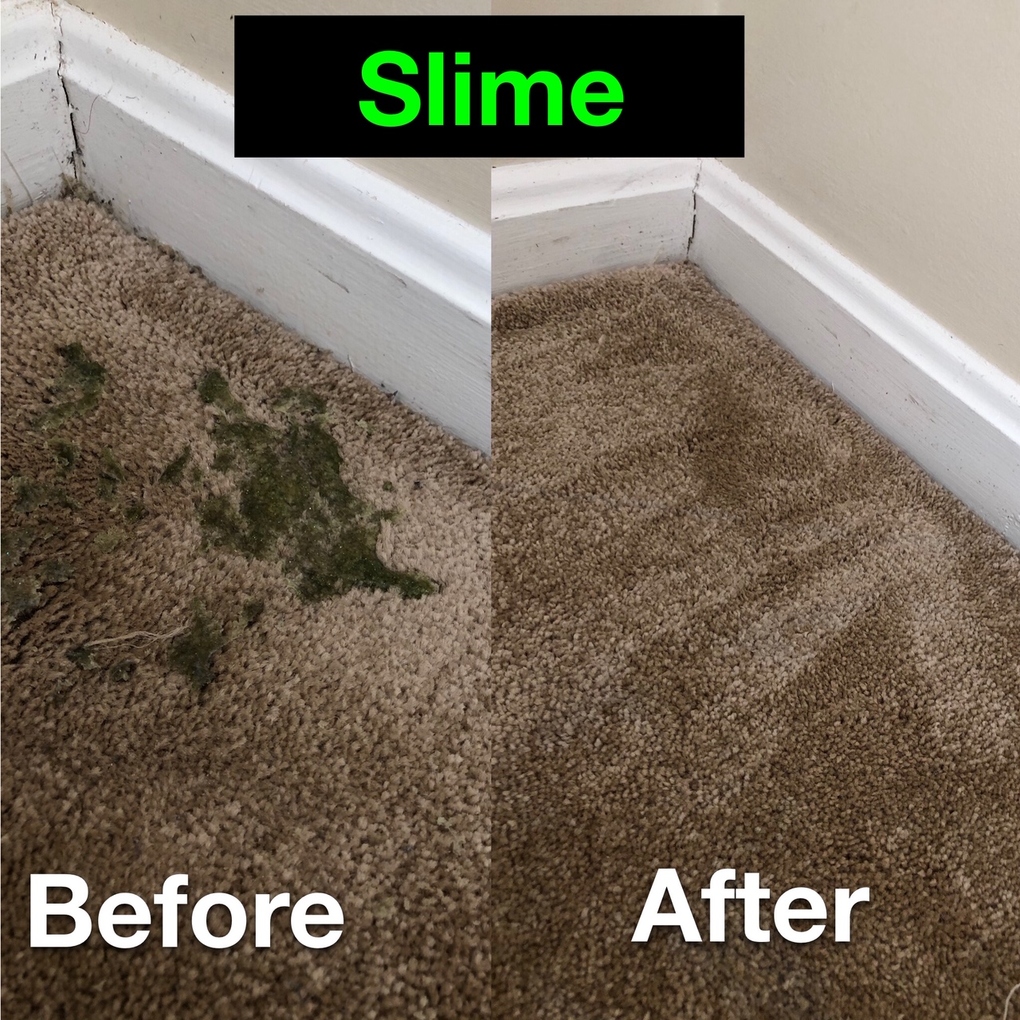 Littleton’s Floor & Carpet Cleaning Waldorf, MD