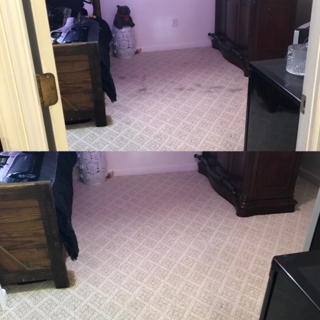 Littleton’s Floor & Carpet Cleaning Waldorf, MD