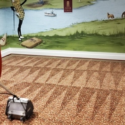 Low Moisture Cleaning In Suffolk VA