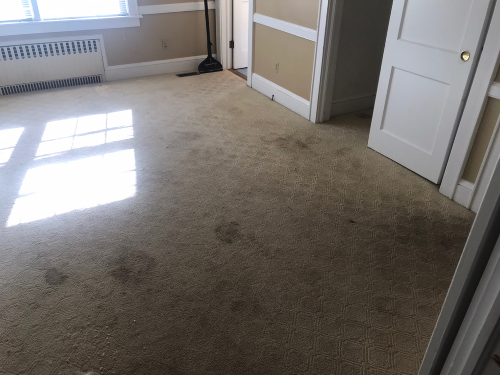 C & C Carpet Care Moyock, NC