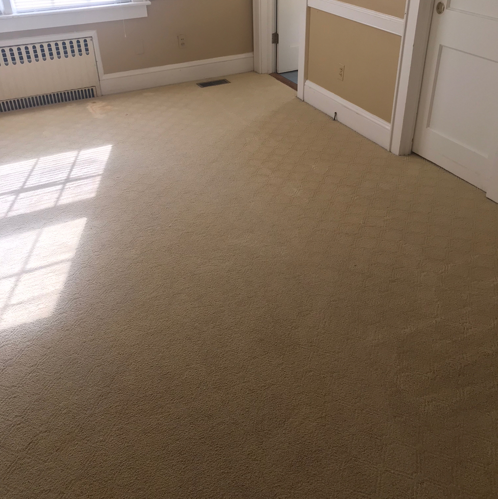 C & C Carpet Care Moyock, NC