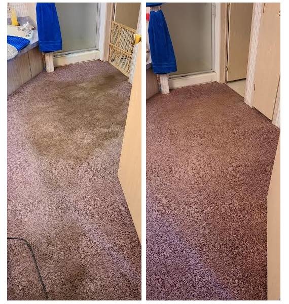 Chrysler Carpet Cleaning Valrico, FL