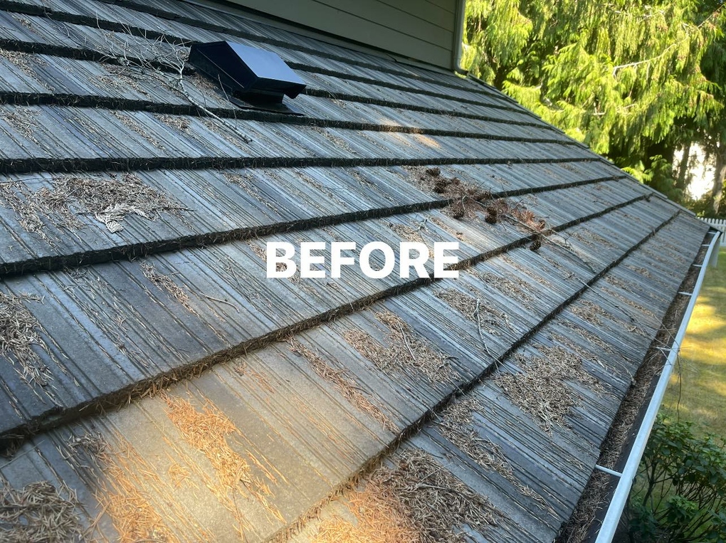 Losi Pro Wash Port Orchard, WA