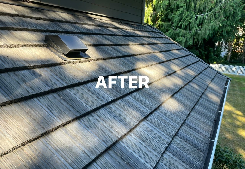 Losi Pro Wash Port Orchard, WA