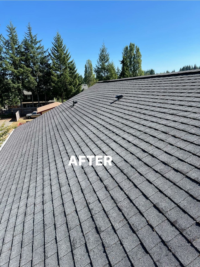 Losi Pro Wash Port Orchard, WA