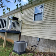 Before Softwash Treatment