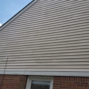 Before Softwash Treatment